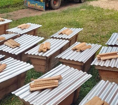 WhatsApp Image 2025-02-23 at 10.59.45 AM