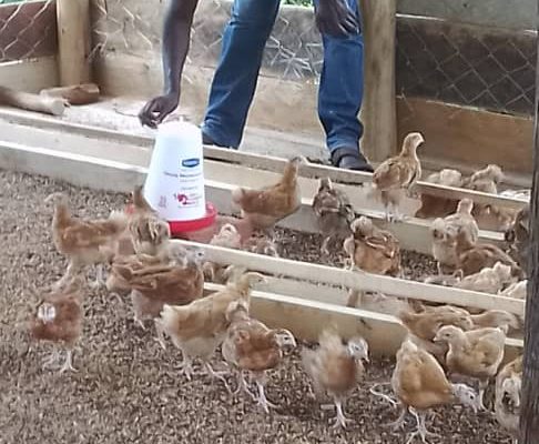 WhatsApp Image 2025-02-23 at 11.00.13 AM (1)